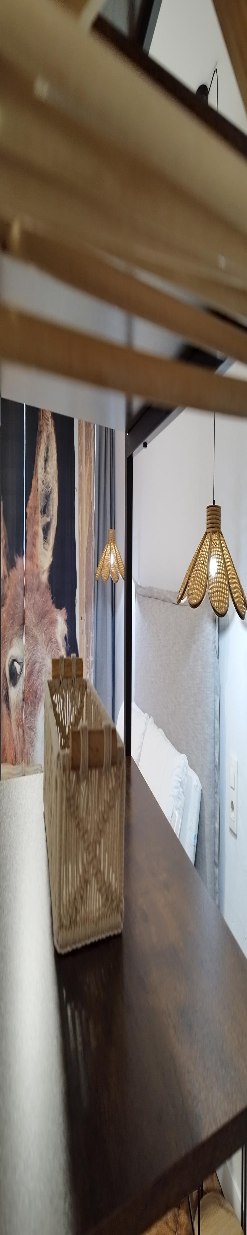 Burro Tapón